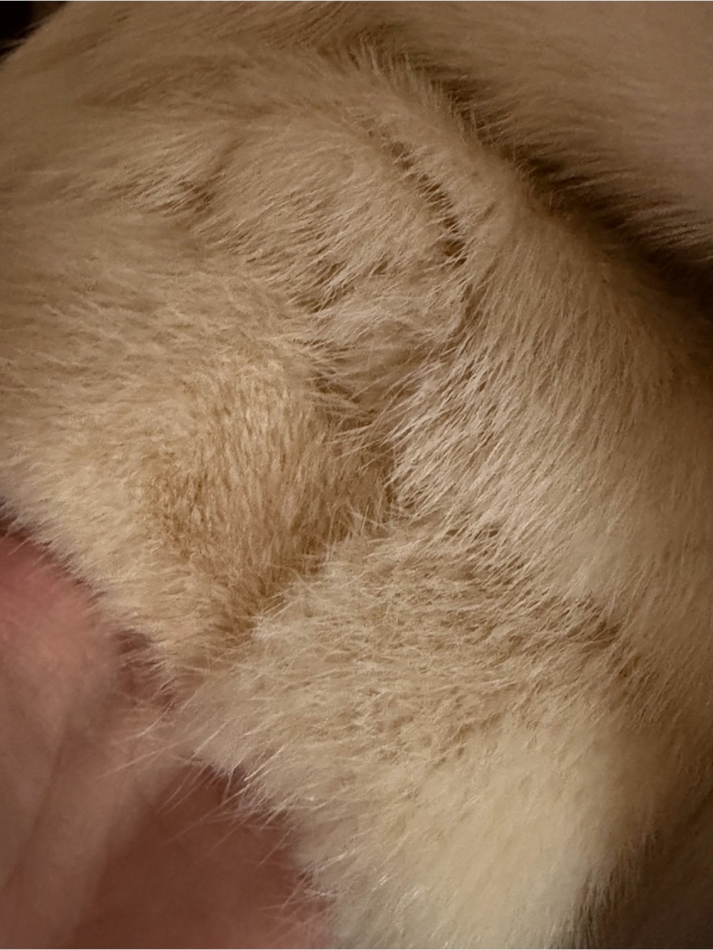 Gorgeous White Mink & Fox Fur Coat - Picture 4 of 7